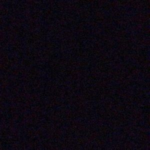 Meet your Posher, Bonnie